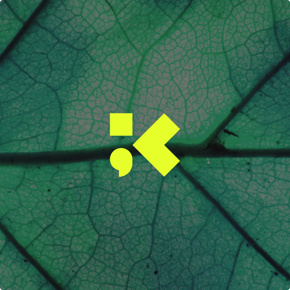 Kudusure brand mark on a leaf texture