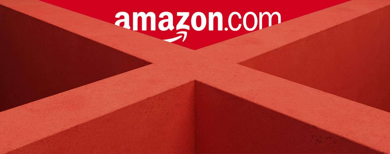 Maximize Your Sales With FGX's Amazon Product Optimization Services